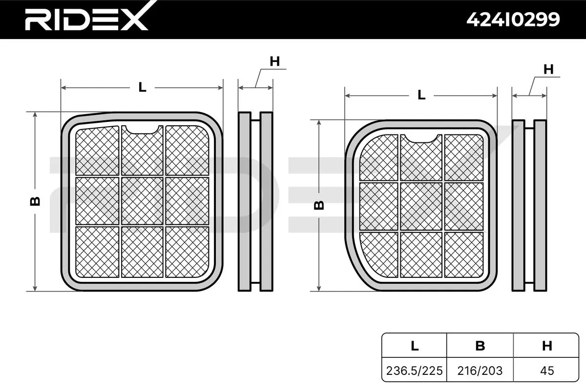 424I0299 Ridex