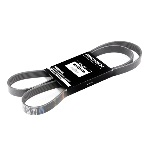305P0077 Ridex
