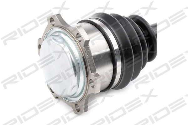 13D0137 Ridex