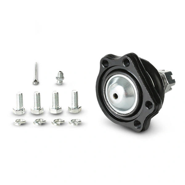 2462S0189 Ridex