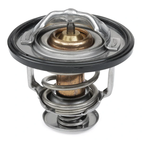 316T0046 Ridex