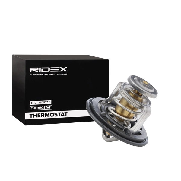 316T0018 Ridex