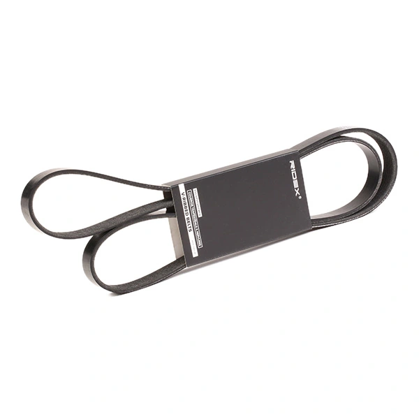 305P0123 Ridex Correa poly v