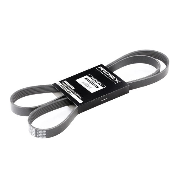 305P0084 Ridex