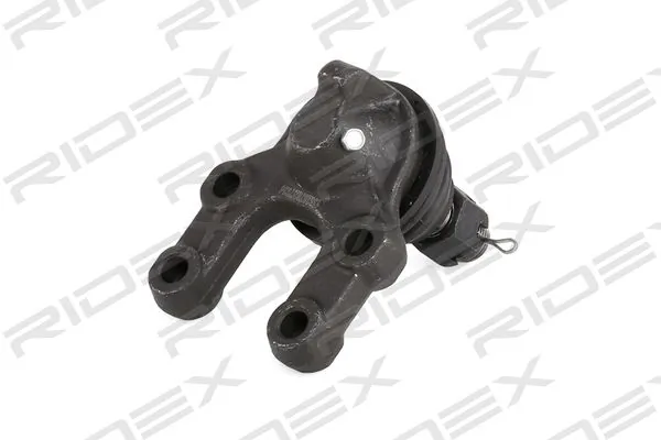 2462S0013 Ridex