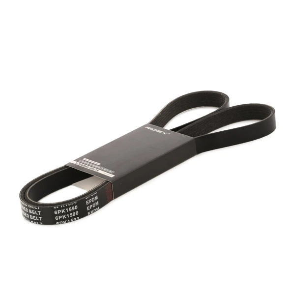 305P0076 Ridex