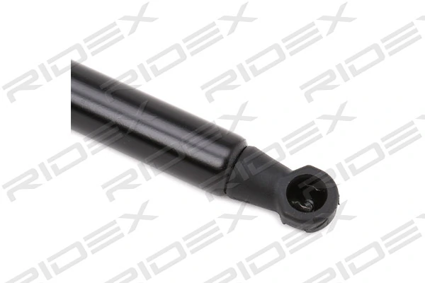 219G0635 Ridex