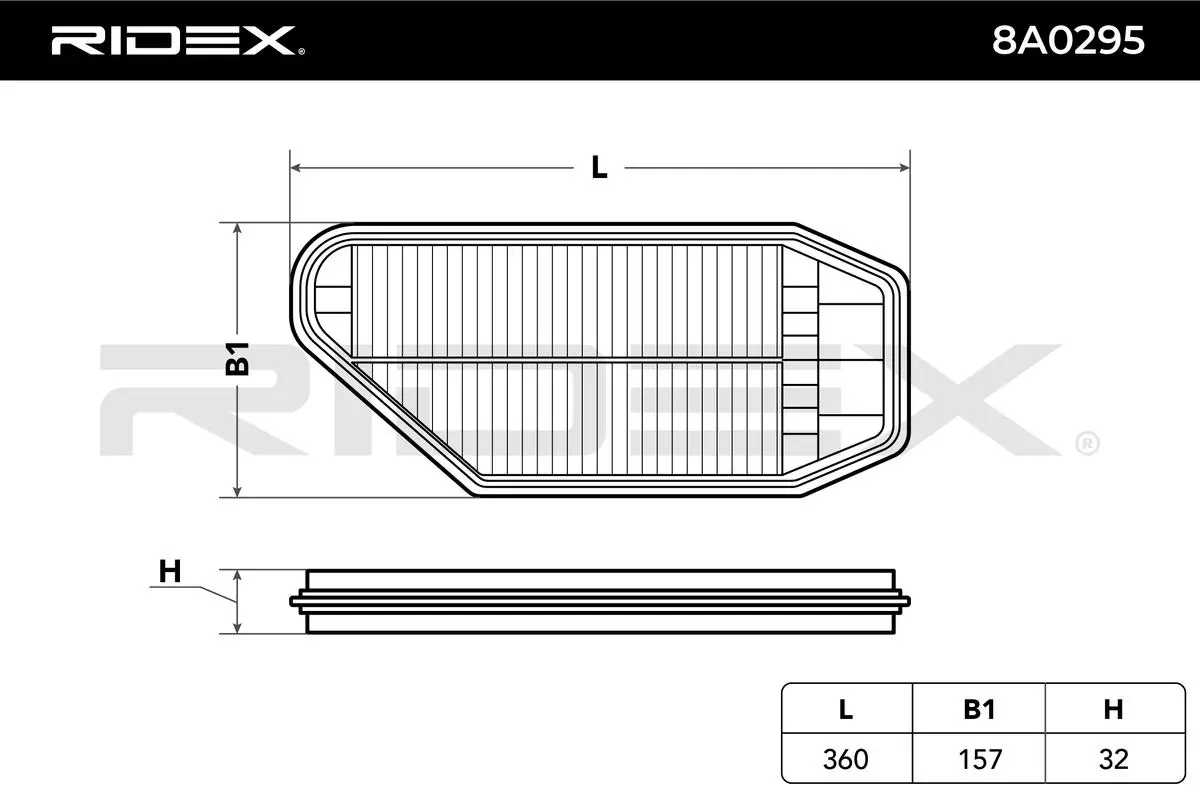 8A0295 Ridex