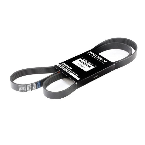 305P0079 Ridex