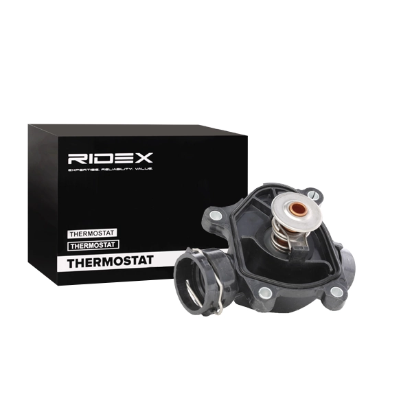 316T0004 Ridex Termostato de agua