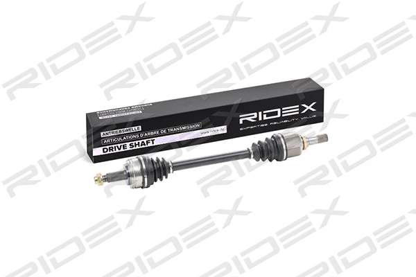 13D0221 Ridex
