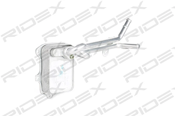 469O0025 Ridex