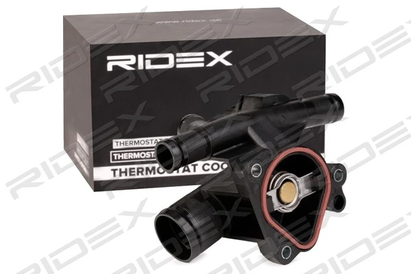 316T0243 Ridex