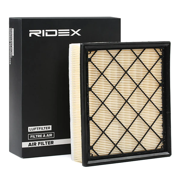 8A0254 Ridex