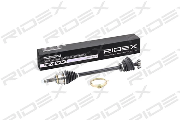 13D0217 Ridex