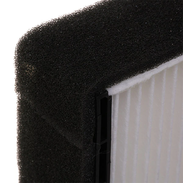 424I0095 Ridex