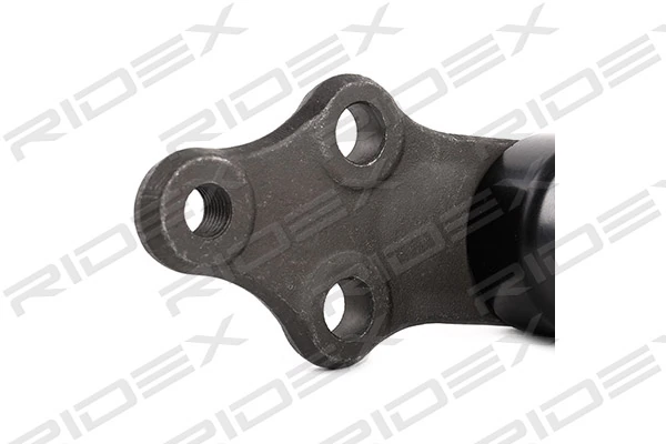 2462S0281 Ridex