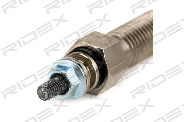 243G0039 Ridex