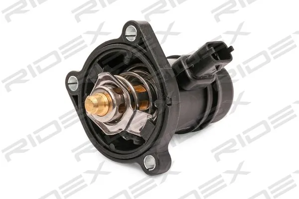 316T0204 Ridex