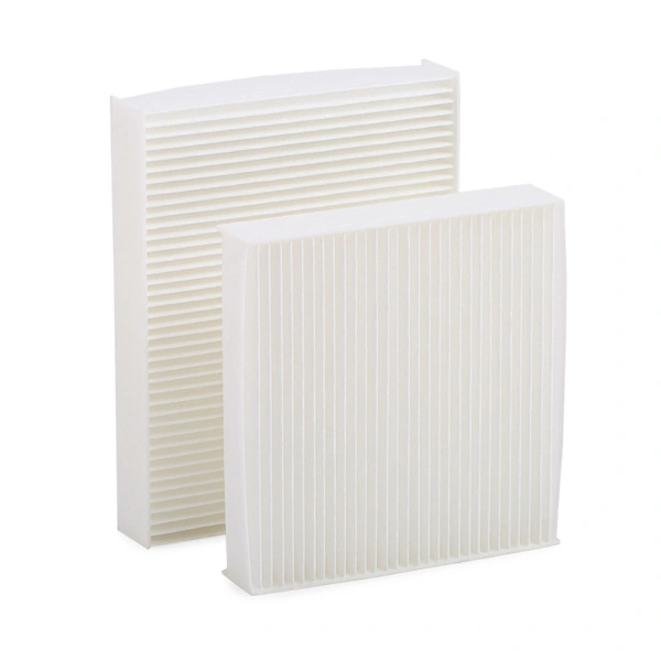 424I0091 Ridex Filtro antipolen