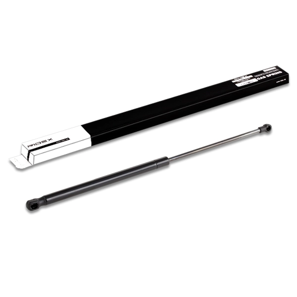 219G0348 Ridex Amortiguador de porton
