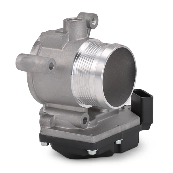 Cuerpo de aceleración completo Ridex 158T0071 precio, desde 231,13 EUR