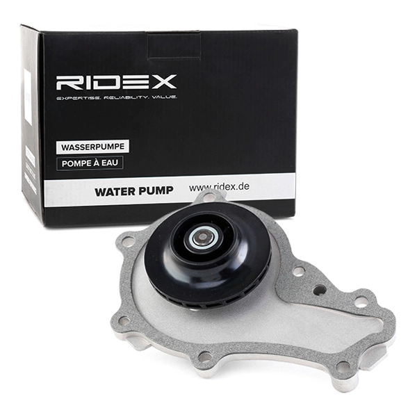 Bombeadora de agua Ridex 1260W0017 precio, desde 61,63 EUR