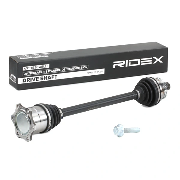 13D0702 Ridex