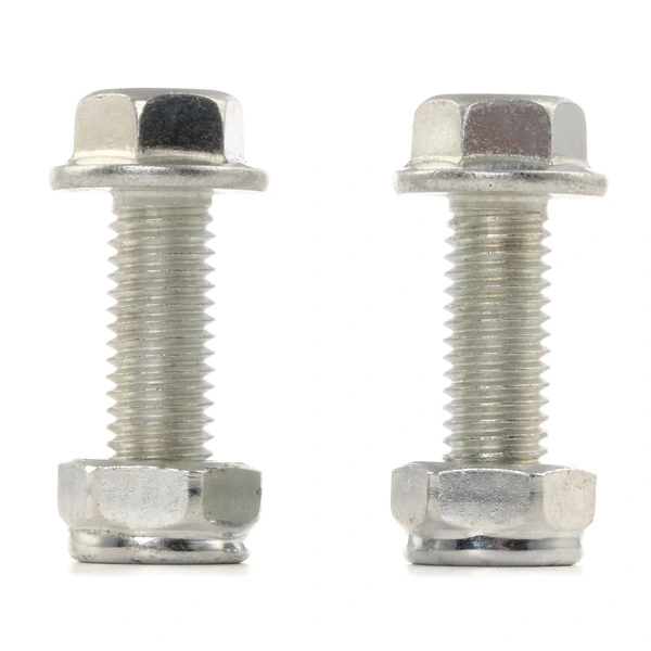 Rótula inferior de suspensión Ridex 2462S0002 precio, desde 20,88 EUR
