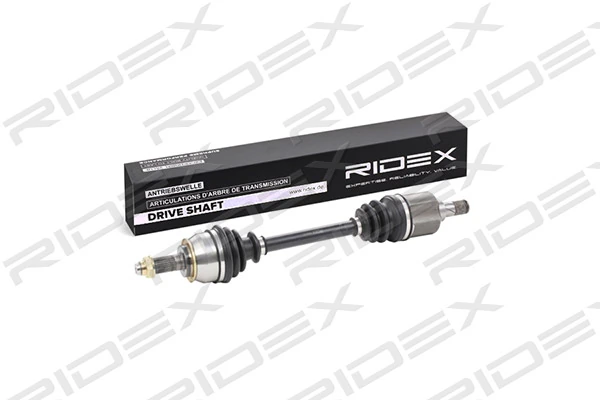 13D0171 Ridex