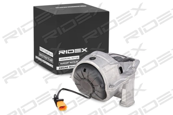 247E0231 Ridex