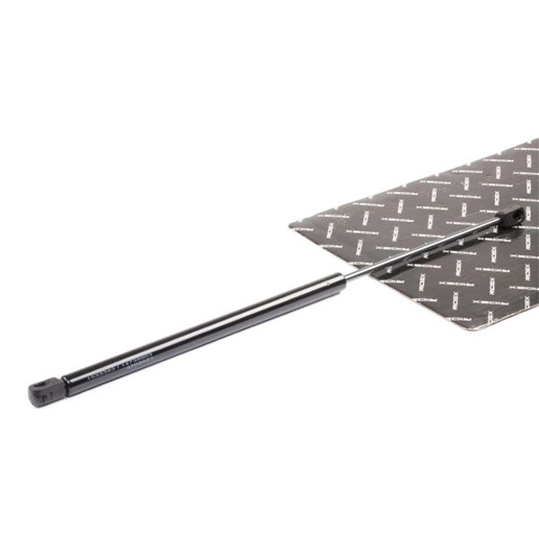 219G0935 Ridex Amortiguador de porton