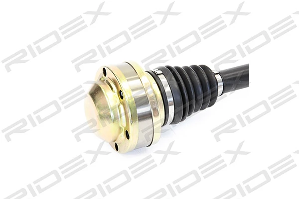 13D0034 Ridex
