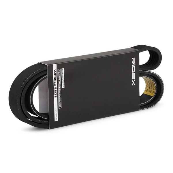 305P0135 Ridex Correa poly v