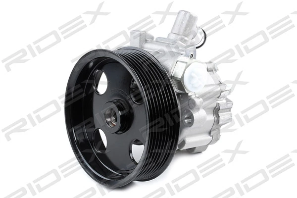 12H0099 Ridex