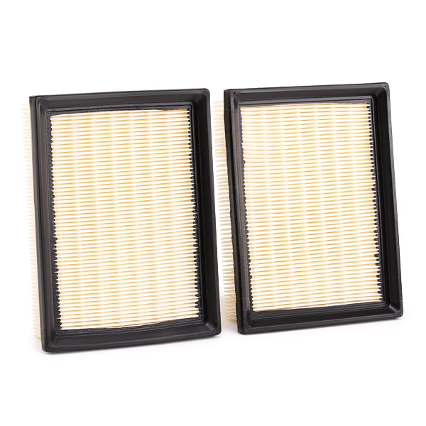 8A0105 Ridex