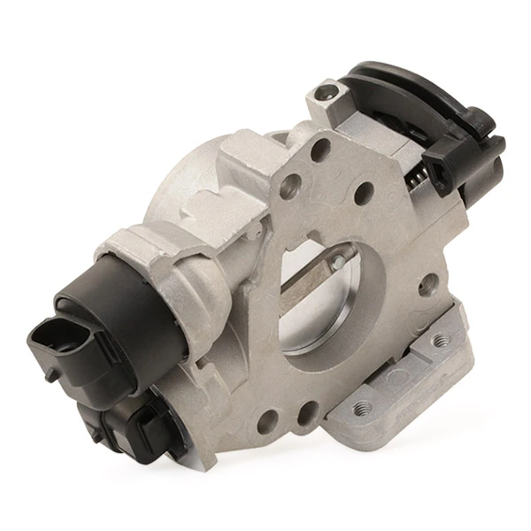 Cuerpo de aceleración completo Ridex 158T0040 precio, desde 143,75 EUR