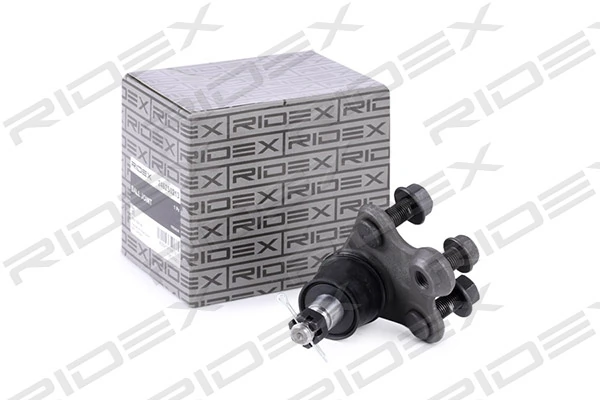 2462S0213 Ridex