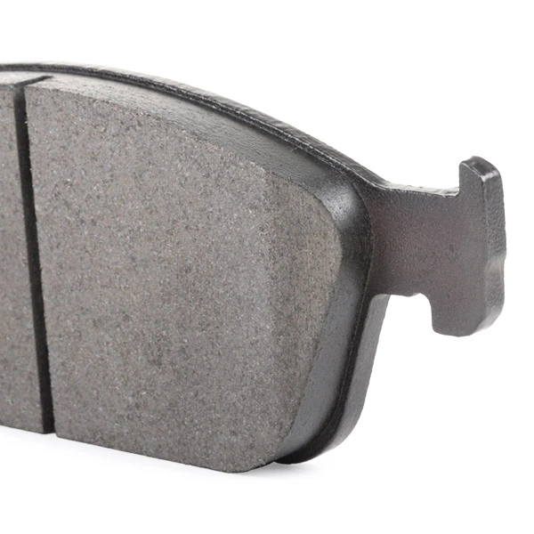 402B1008 Ridex