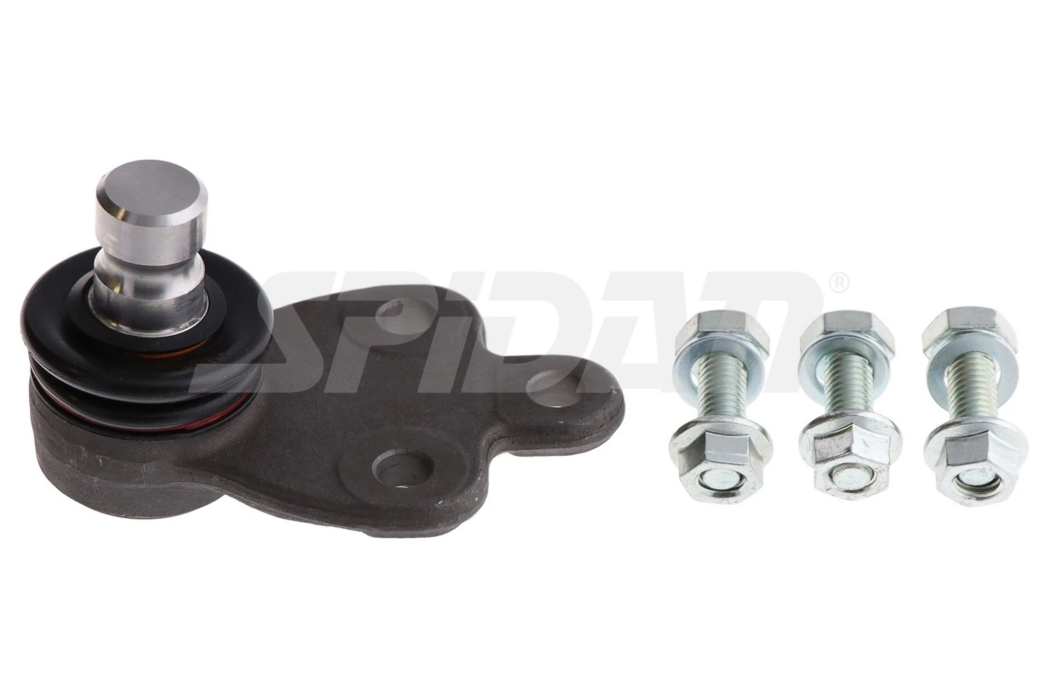  Ford Focus IV desde 23,94 €