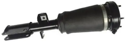 AS10101 Estanfi