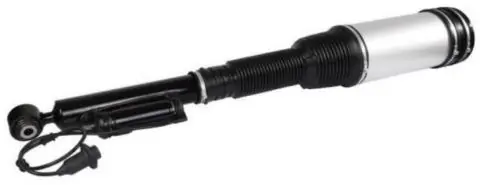 Amortiguadores traseros para Mercedes S  (W220)