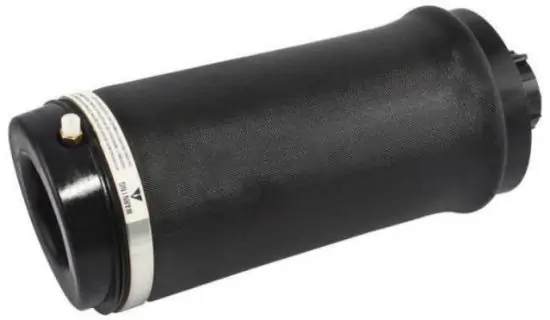 AS12202 Estanfi