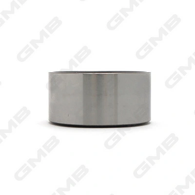 GT10160 GMB Polea tensora intermedio de correa dentada