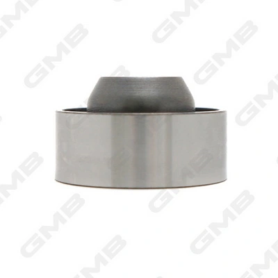 GT60480 GMB Polea tensora intermedio de correa dentada