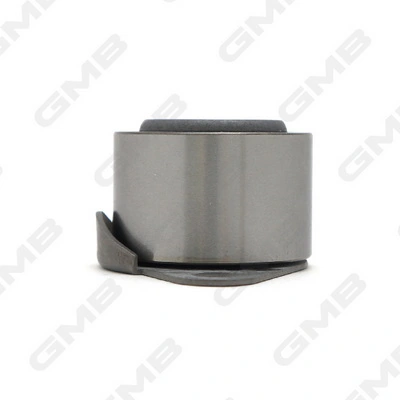 GT60100 GMB Rodillo de cadena