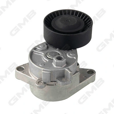  Tensor de correa poli V BMW 5 