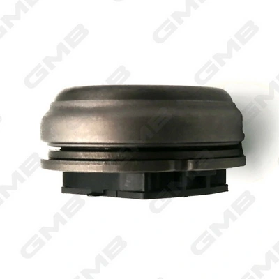 Cojinete de desembrague Peugeot 406 8B