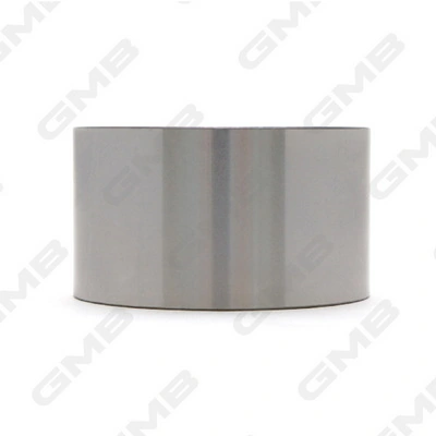 Rodillo de cadena para Subaru Forester II S11, SG