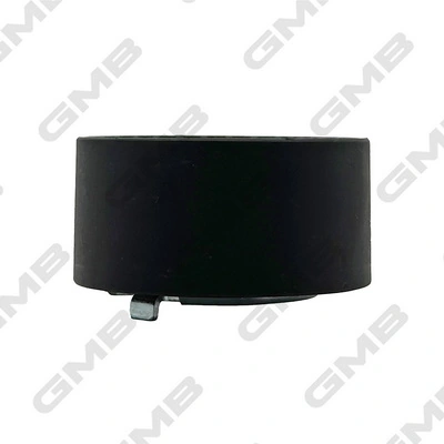 GTB0250 GMB Rodillo de cadena